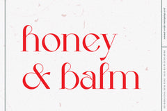 Brand Stylist Font Duo