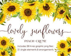 Lovely Sunflowers // Watercolor Set